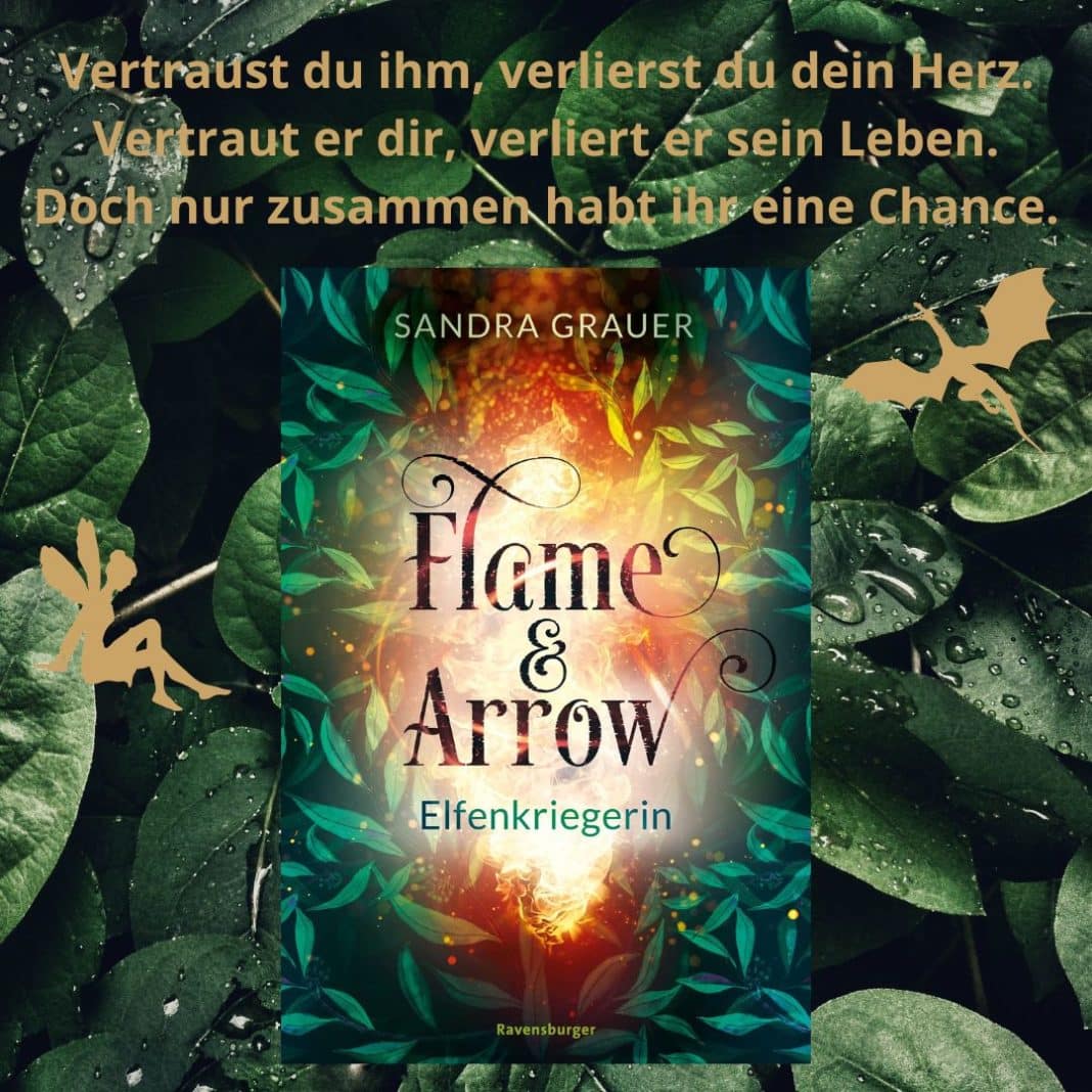 Flame and arrow 1