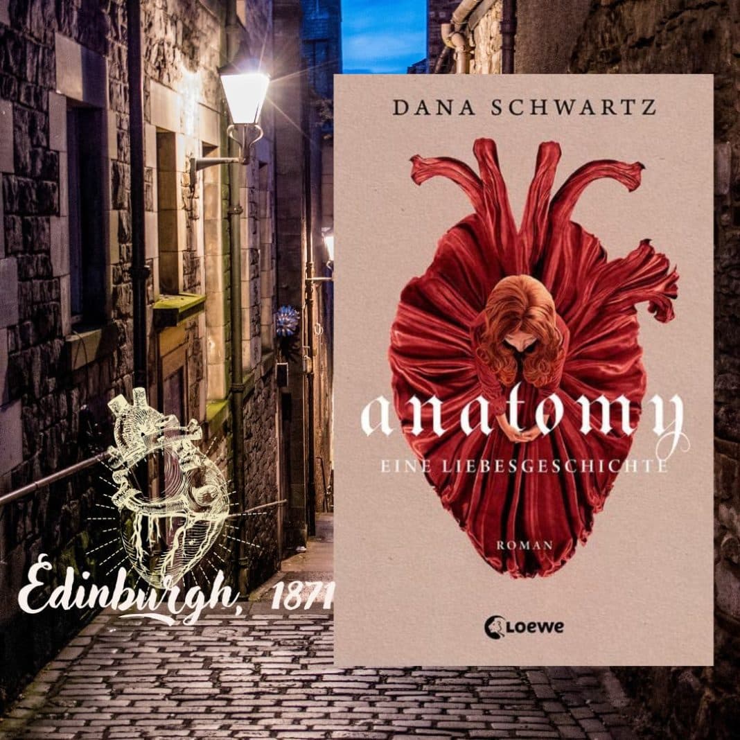 Anatomy